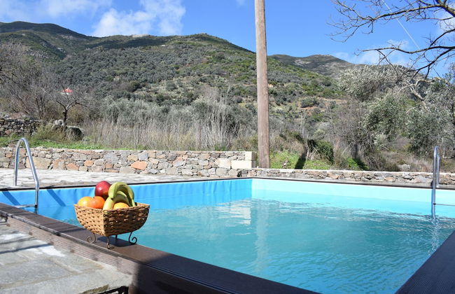 Villa Vlatos - Foto 15