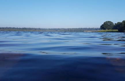 Strandlust - Foto 33