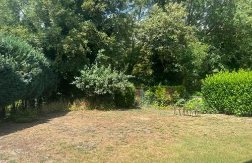 Schwartz GmbH/2 - Foto 25