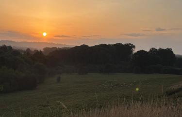 Little Vine Cottage in the grounds of Leeds Castle - Foto 15