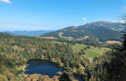 Ferienwohnung 'auf dem Burstel' - Foto 29