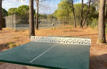 Domaine Valescure vue Piscine ou Pinede - Wifi - Foto 33