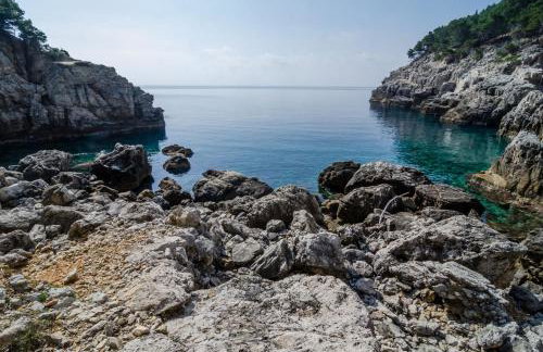 Apartmani Popović - Foto 4