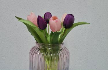 casa vacanza il tulipano - Foto 11