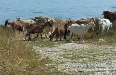 Apartman VTS - Photo 35