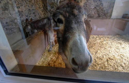 Casa antigua - Foto 8