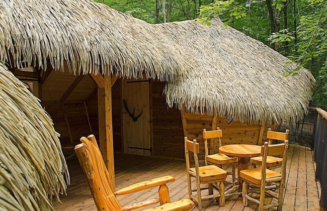 Parc Omega - Foto 63