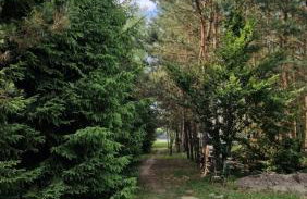 Letnisko w Kłudzicach - Foto 25