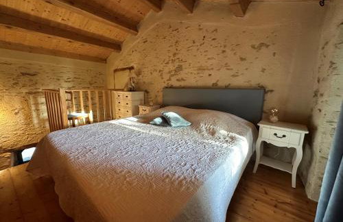 Chateau de la Preuille Gites - Foto 68