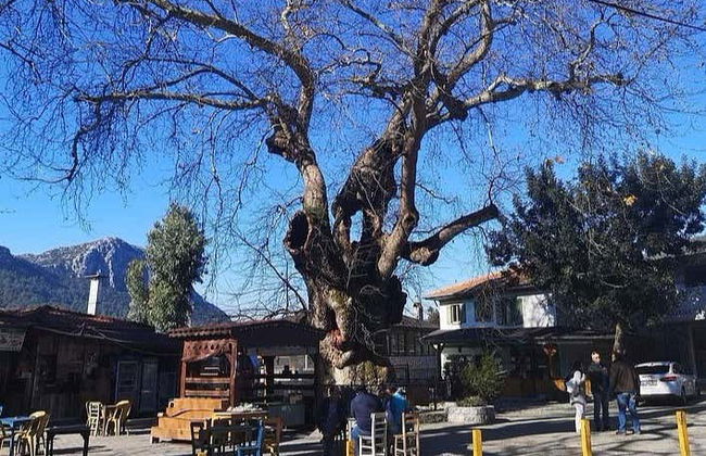 Escursione a Bayir, Turgut e Orhaniye - Foto 1