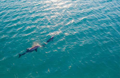 3 BR Pool Home In Nokomis - Close To Beaches - Foto 29