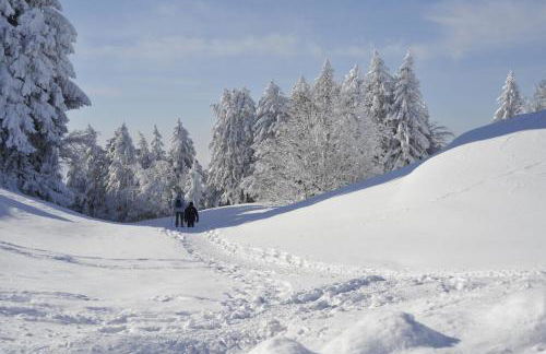 Grande maison familiale dans le massif des Bauges - Foto 38