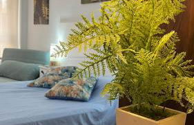 ILVE Apartment - Photo 1