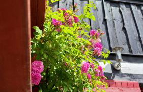 Twój Drugi Dom na Kaszubach - Foto 31