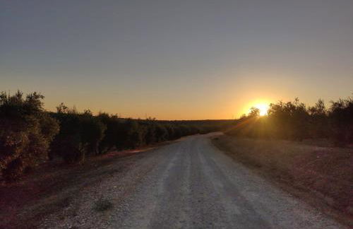 Cortijo Don Simón - Foto 42