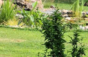 Pension Hugo - Foto 58