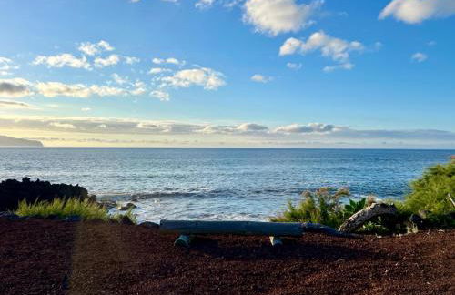 Ocean View Pico - Photo 7