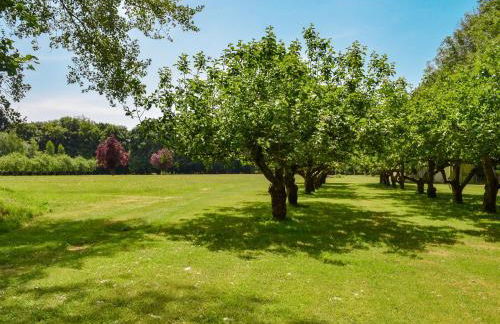 Deer Cottage 1 Uk39330 - Foto 3