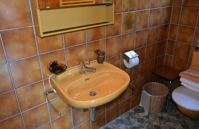 Akelei (gross) - Photo 31