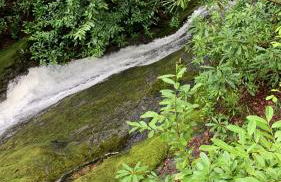 Tastefully restored cottage - Foto 1