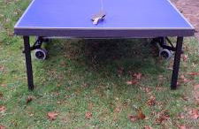 Beautiful Landes house park and tennis near ocean - Foto 22