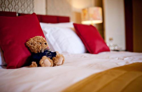 Plas Nanteos Mansion - Foto 16