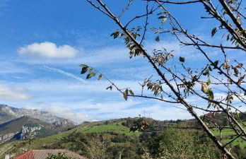 Vivienda Vacacional Ángel Inguanzo - Foto 55