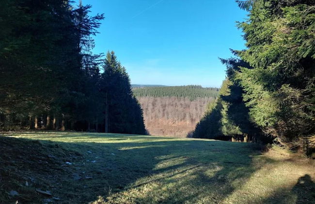 Gemutliches Apartment in Winterberg mit Balkon - Foto 30