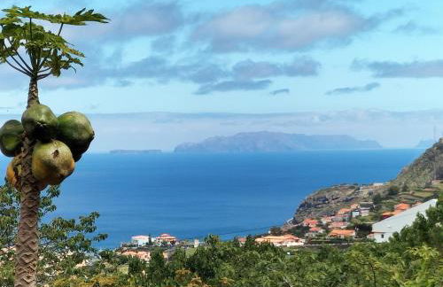 Jungle Lodge - Foto 1