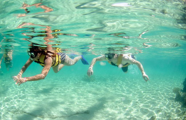 Das unerschrockenste Speedboat-Abenteuer in Cancun Schnorchel inklusive - Foto 6