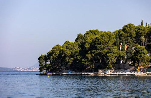 Floret Apartment - Foto 52