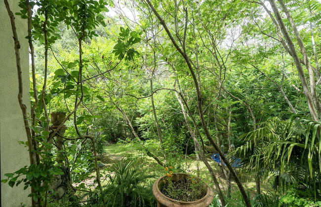 Majestic Holiday Home in Laroque With hot tub - Foto 30