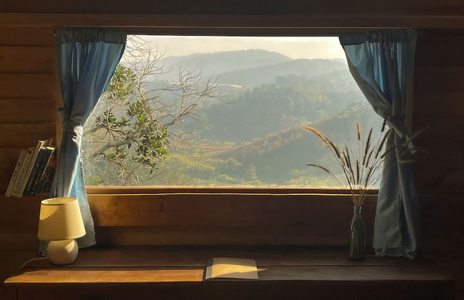 Midori Coffee Farm - Photo 13