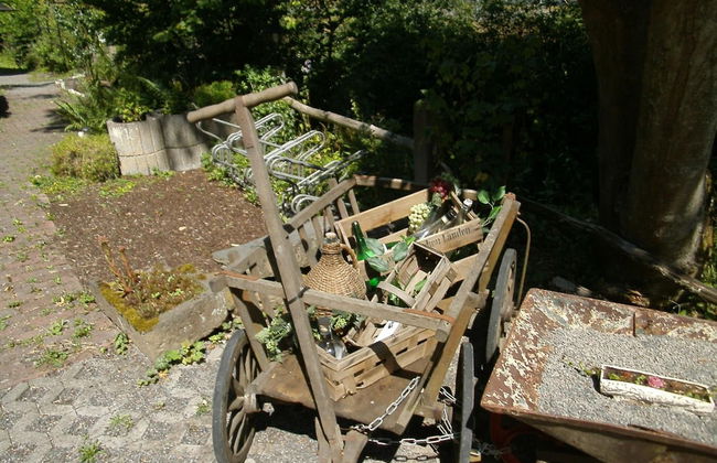 Ferienwohnungen Linkemühle - Foto 37