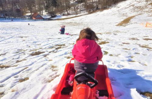 Villa im Harz - Deluxe Appartment - Frühstück, Halbpension buchbar - Foto 46