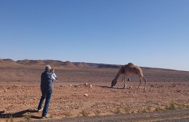 1 notte nel deserto da Agadir - Foto 12