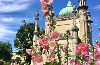 Flat1Hove- renovated, 2BR, patio, beach, free onsite parking - Foto 23