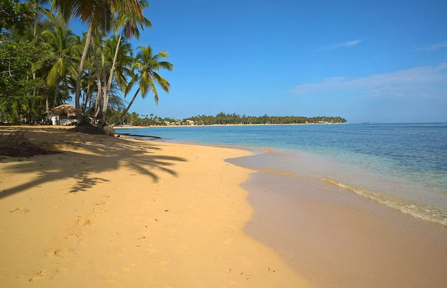 Beachfront Apartment facing Playa Popy - Photo 18