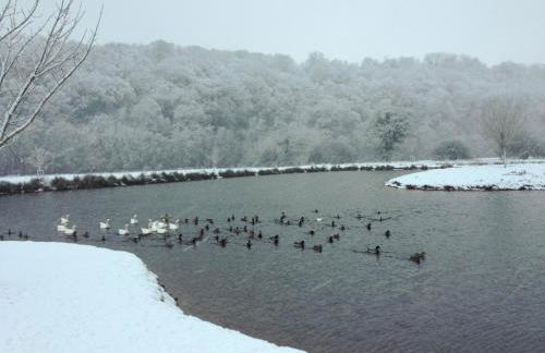 Duvale Barn - Foto 4