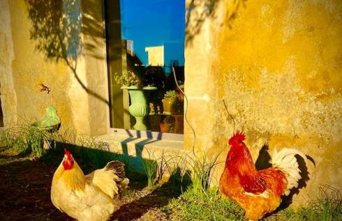 Manoir de La Barre Ceton - Foto 43