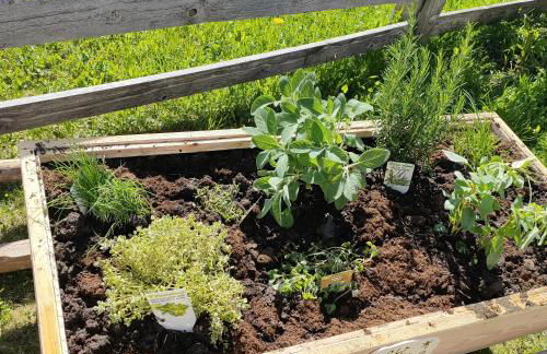 Chi Plans - Photo 40