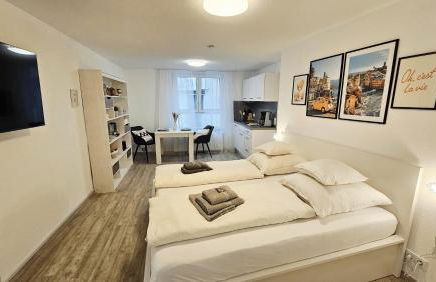 Stadtgarten-Studios - im Zentrum mit Parkplatz - Foto 43