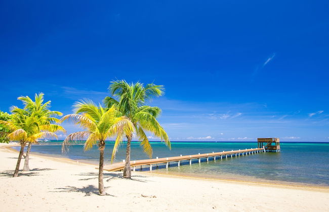 Lawson Rock - Angelfish 100 - Foto 14