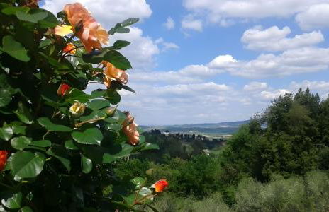 Mare Colline Città d'Arte - Foto 20