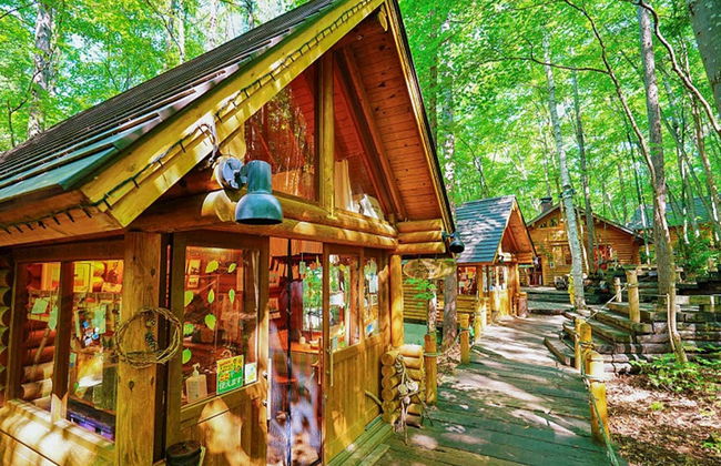 Escursione ai campi fioriti di Hokkaido e allo stagno Blu - Foto 6
