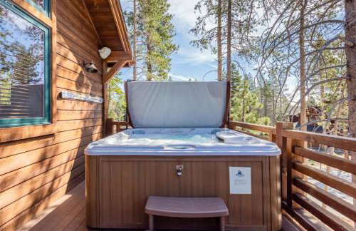 Gray Bear 514 - Foto 27