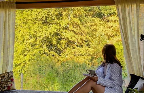 Cabin Westerwald Sauna, 5G Internet, E-Ladesäule - Foto 10