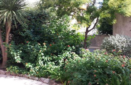 Central avec Jardin - Foto 2