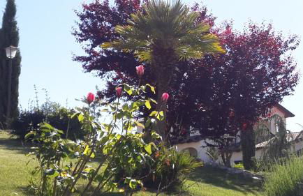 Borgo Nicoletta Case per le vacanze - Foto 29