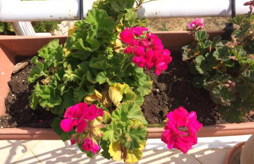 Sunny Studios - Foto 57